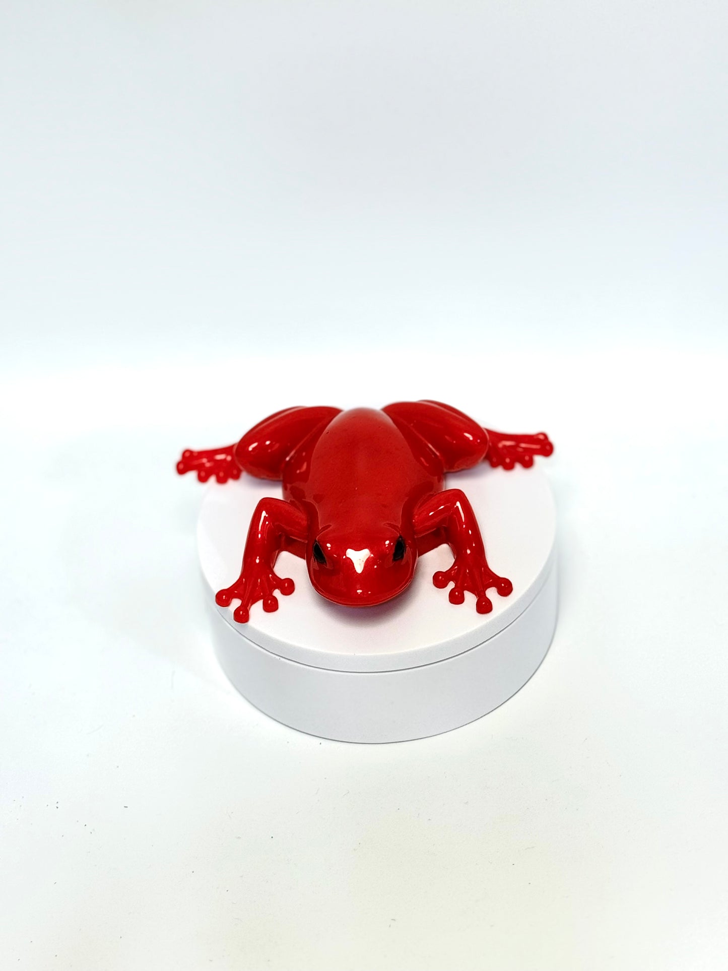 Red Frog